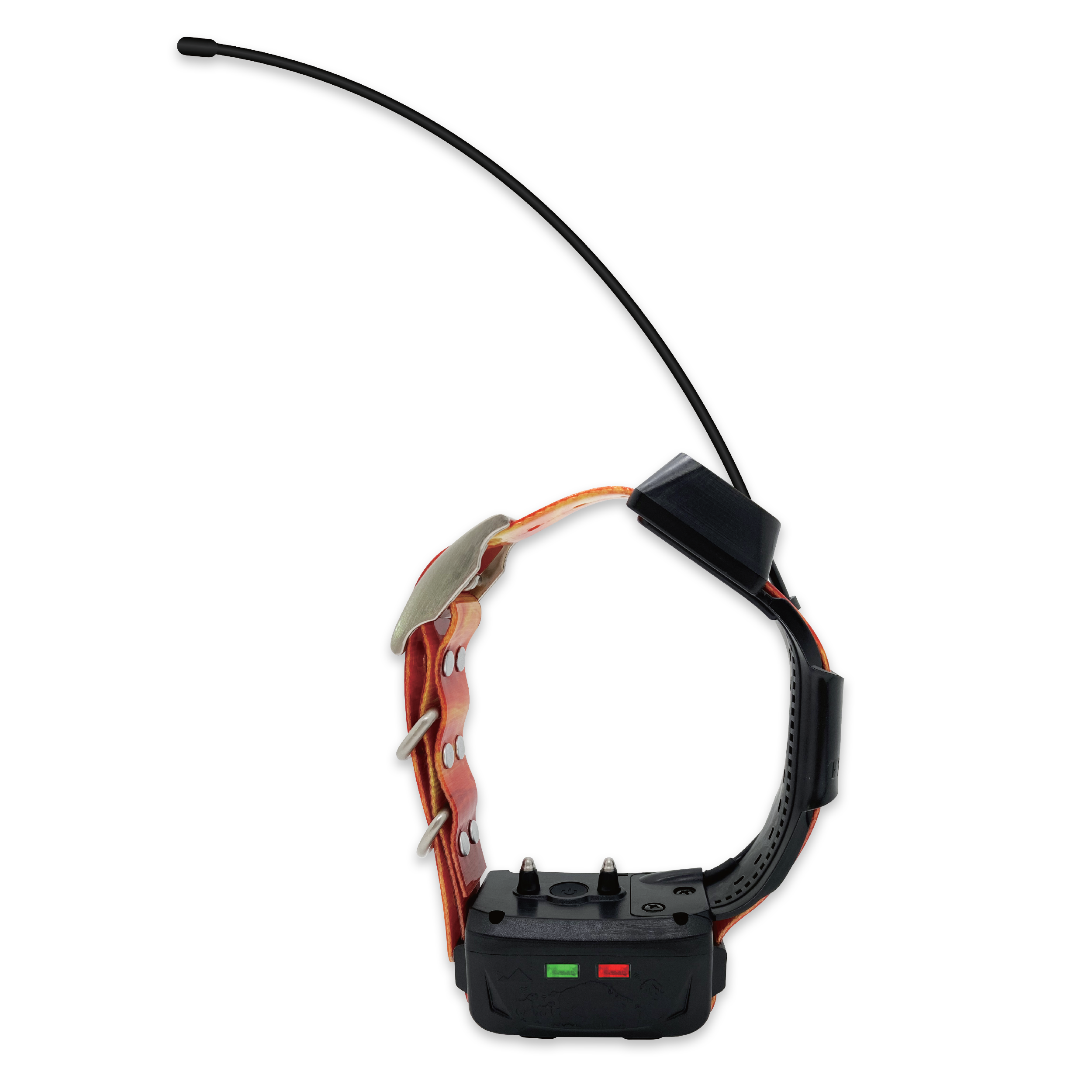 Image of GPS collar for tracking a dog